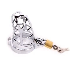 Chastity Cage - RVS -Kiotos chastity cage rvs slot